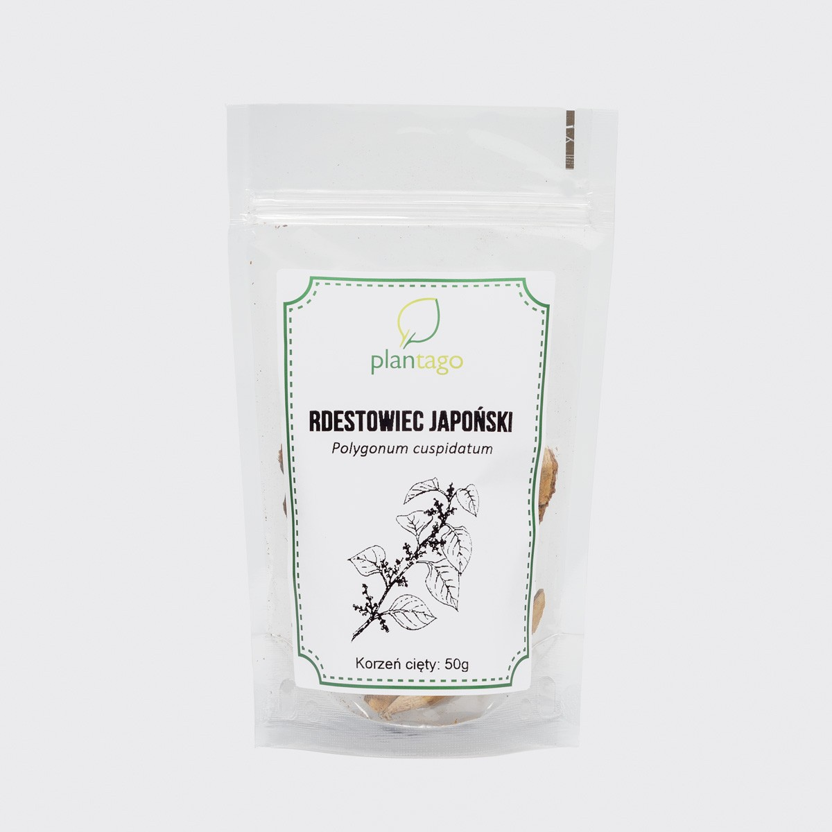 Rdestowiec japoński 5904161792352 4  7577