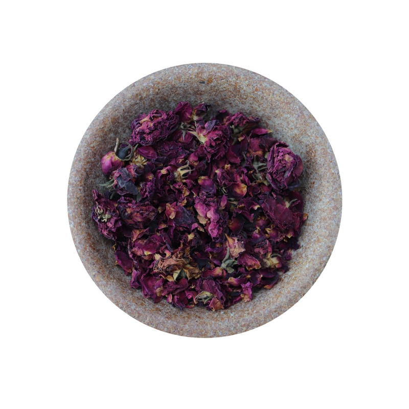 Róża czerwona ( Rosa x centifolia ) pąki kwiatowe 5904161797449 2  8790