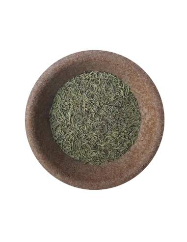 Rozmaryn lekarski (Rosmarinus officinalis) 5904161794608 2  8861
