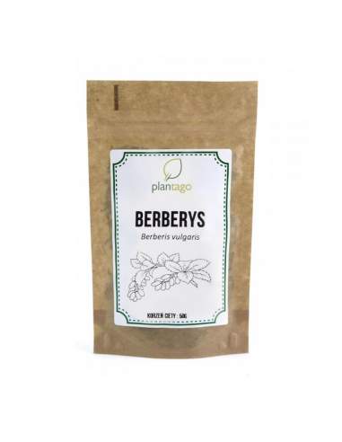 Berberys  - korzeń cięty 50g Premium 5904161793076 1  8956