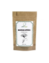 Miłorząb japoński (Gingko biloba) 0000306 1  9009