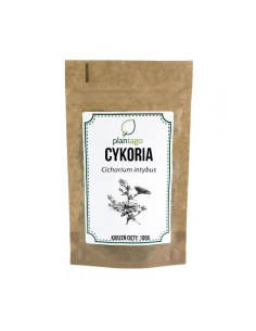 Cykoria - korzeń cięty 5904161794561 1  9158