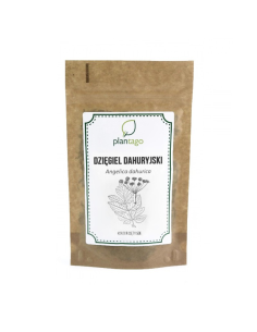 Dzięgiel dahuryjski korzeń (Angelica dahurica) 5904161794745 1  9287