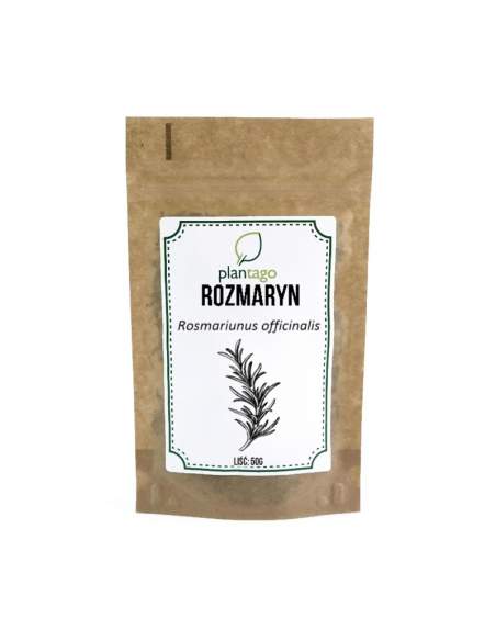 Rozmaryn lekarski (Rosmarinus officinalis) 5904161794608 1  9288