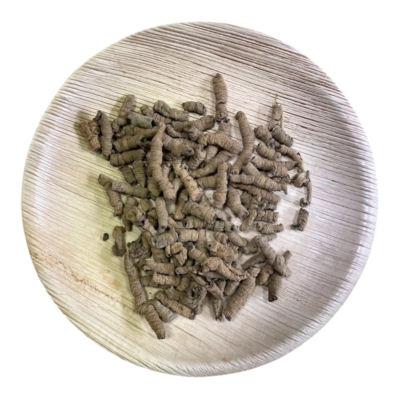 Ba Ji Tian ( Morinda officinalis ) korzeń cięty  1  9755